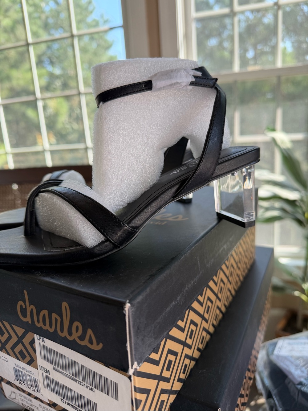 Charles By Charles David Black Strappy Sandal with Clear Block Heel
